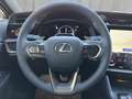 Lexus RZ 500e  Executive Allrad 380 PS Grau - thumbnail 12