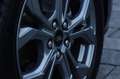 Ford Focus 1.5 EcoBlue 115 CV automatico 5p. ST-Line - thumbnail 6
