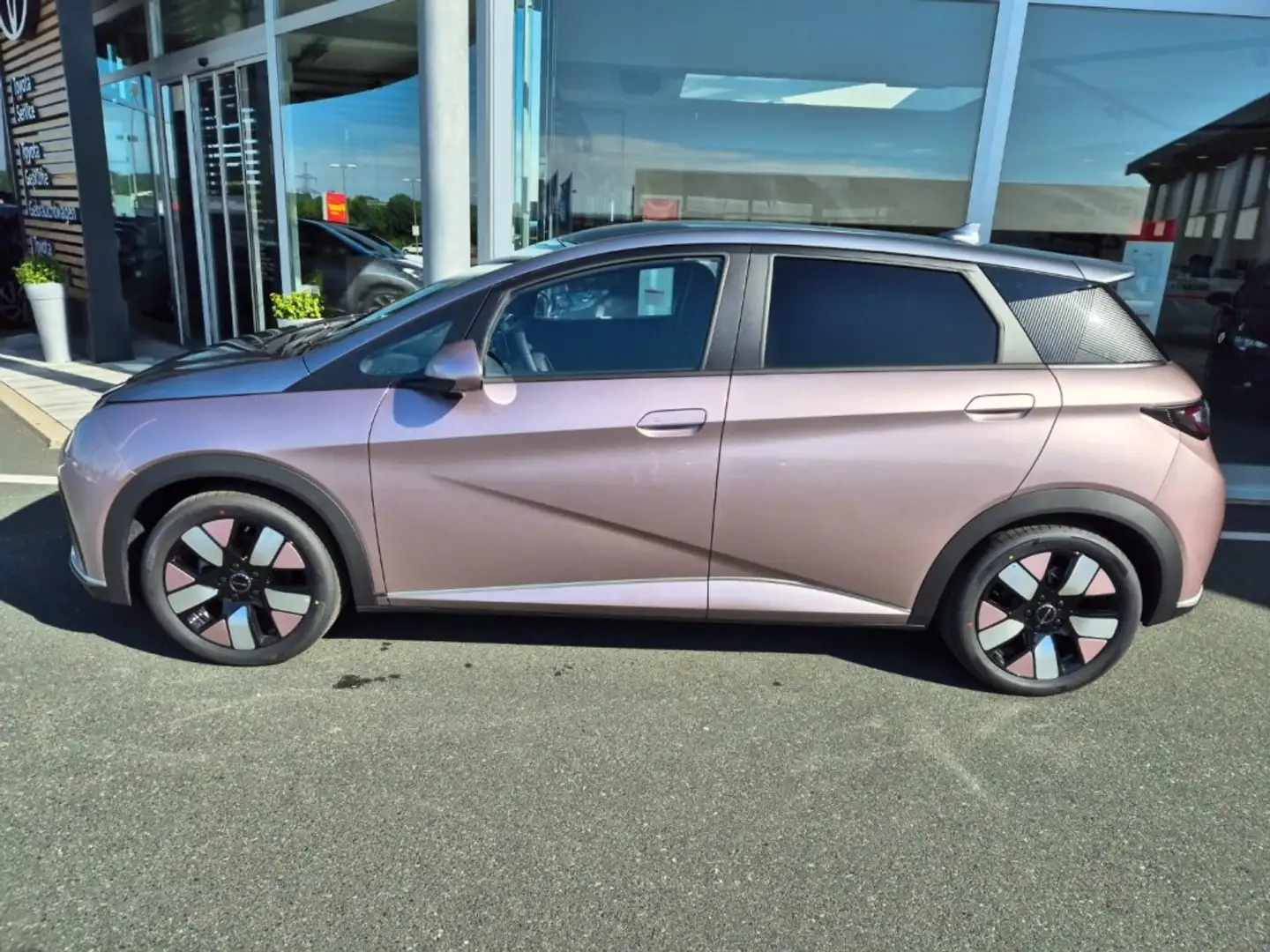 BYD Dolphin Design Violett - 2