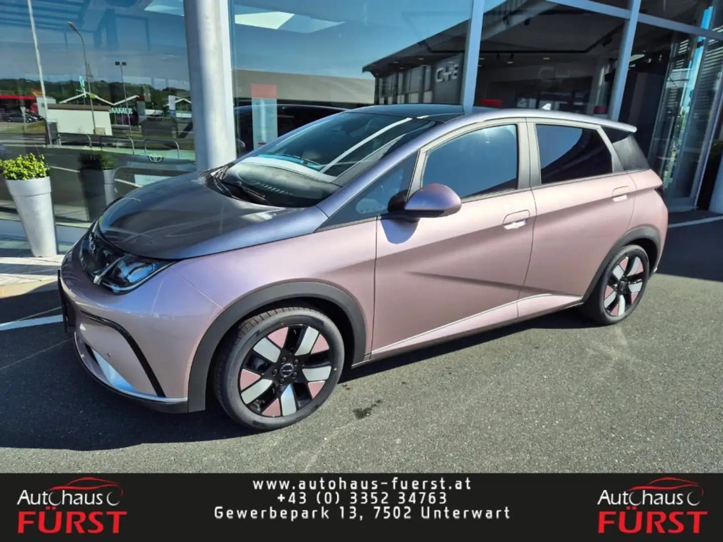 BYD Dolphin Design Violett - 1