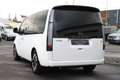 Hyundai STARIA 2.2 CRDi Signature 4WD +7-SITZER+PANO+360°+ Blanc - thumbnail 7