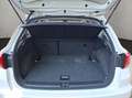 SEAT Arona 1.0 TSI Style Allwetterreifen Full Link LE Blanco - thumbnail 19