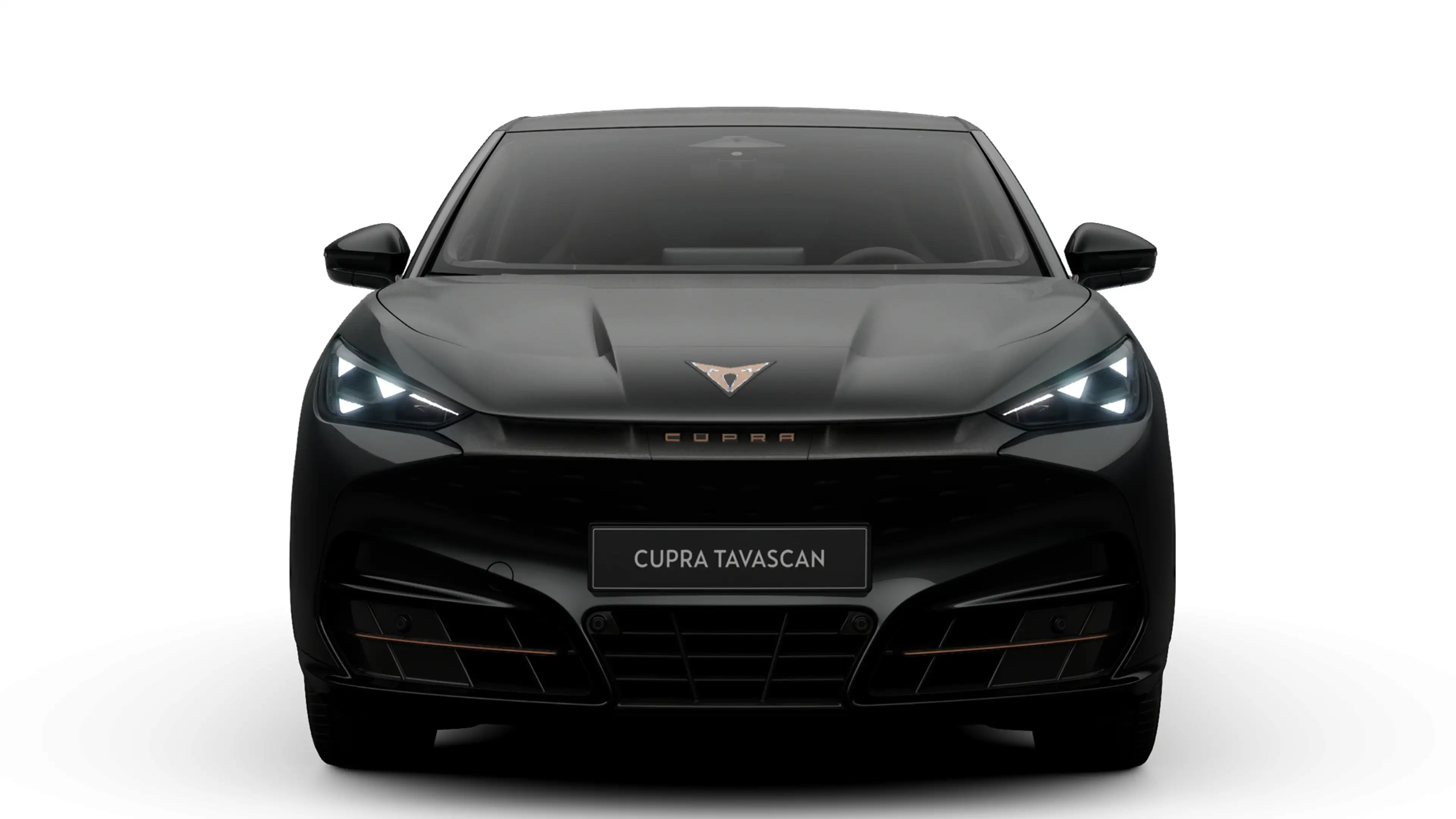 CUPRA Tavascan Business | Achteruitrijcamera | Digitaal instrumen — photo 9
