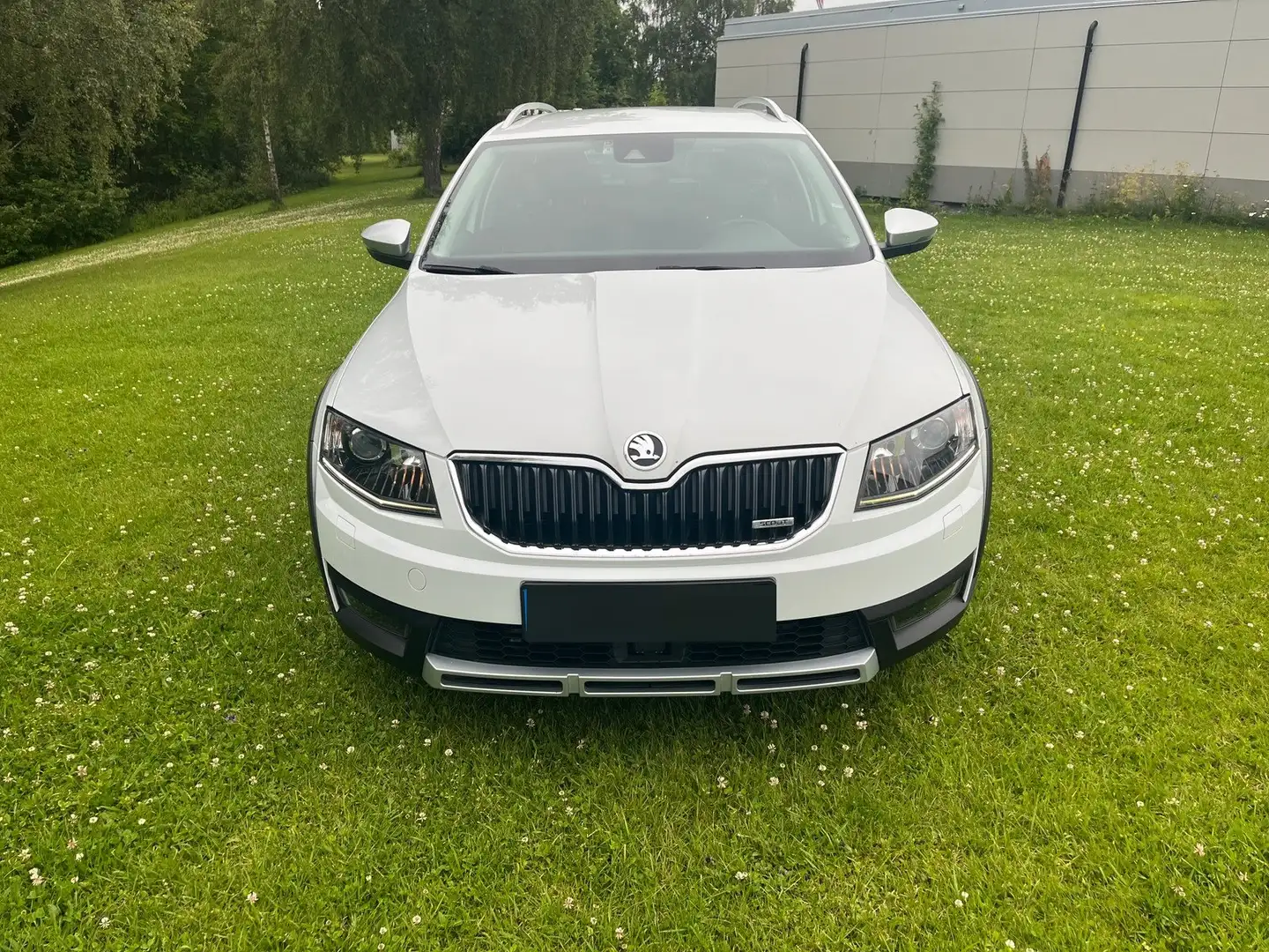Skoda Octavia Octavia Combi 1.8 TSI (Green tec) 4x4 DSG Scout Weiß - 2