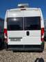 Weinsberg CaraBus 600 MQ - Dachklima, - UVP: 68.853€ Blanc - thumbnail 4
