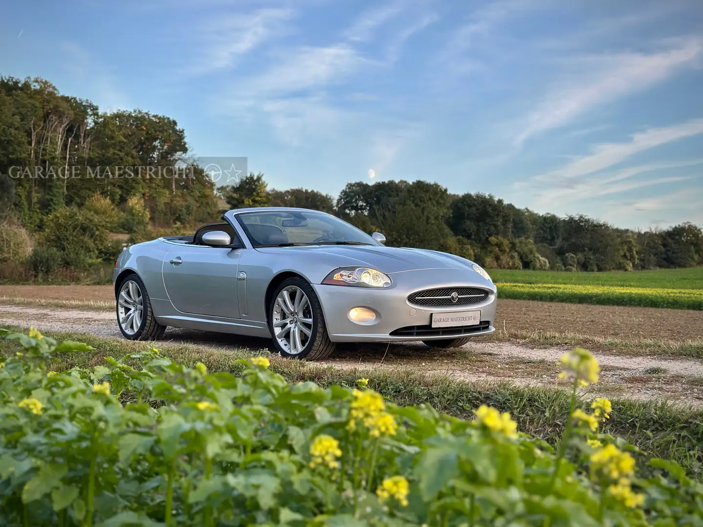 Jaguar XK 4.2 V8 Convertible | Liquid Silver | 20" Kalimnos Argent - 1