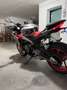 Aprilia Tuono 660 - thumbnail 4