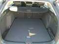 Volkswagen Golf Variant Business TSI Grau - thumbnail 15