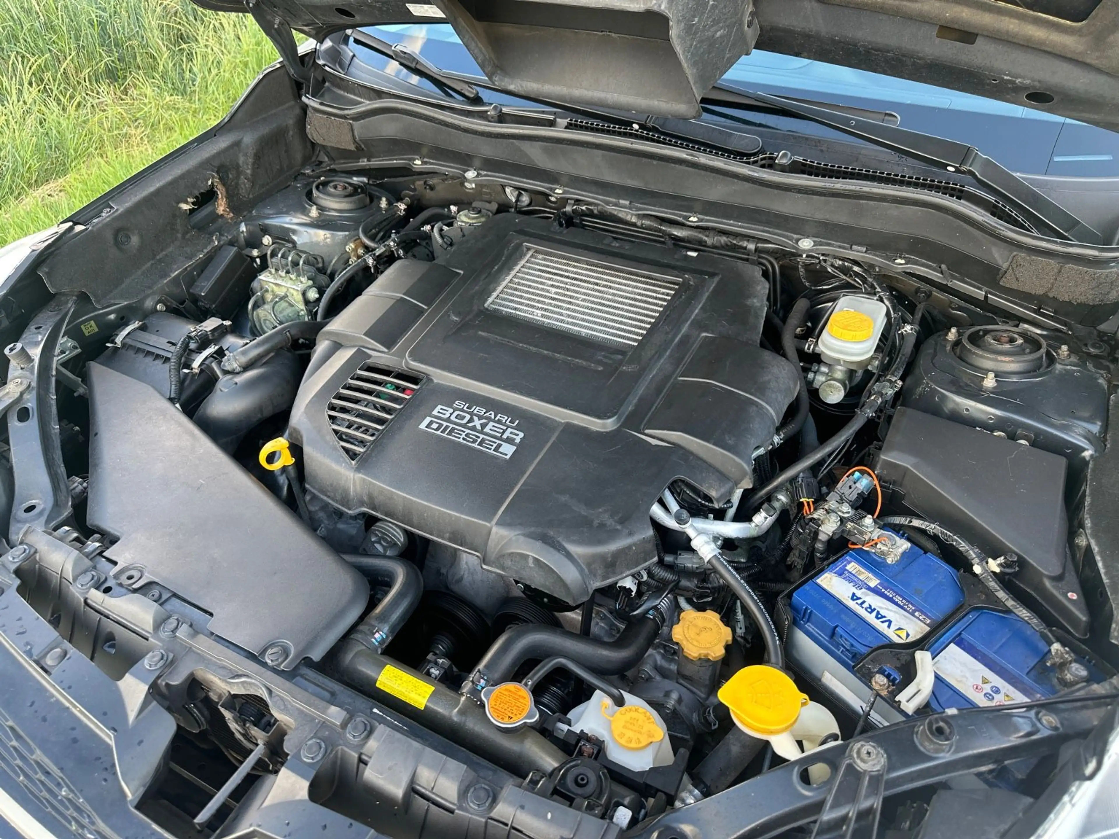 Subaru Forester Active*TopZustand* — photo 2