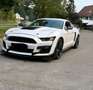 Ford Mustang 5.0 Ti-VCT V8 307kW  GT A.(Fast.) Blanco - thumbnail 1