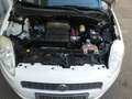 Fiat Grande Punto 1,4 8V KLIMA SERVO 3.TÜRIG TÜV 03-2027 Weiß - thumbnail 11