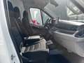 Maxus Deliver 9 DELIVER 9 2.0 TDI KLIMA/SPURHALTE/KAMERA/PDC/SOS Weiß - thumbnail 19