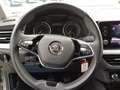 Skoda Kamiq Tour 1.5 TSI 6-gang mech. LED Kurvenlicht Sperrdif Gris - thumbnail 12