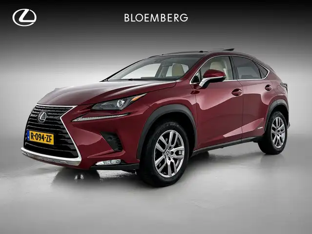 Lexus NX 300h AWD Luxury Line Limited | Schuif - / kanteldak |