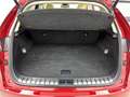 Lexus NX 300h AWD Luxury Line Limited | Schuif - / kanteldak | Rood - thumbnail 28