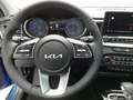 Kia XCeed XCEED 1.6 PLUG-IN-HYBRID DCT6 SPIRIT MJ24 PERFORMA Синій - thumbnail 14