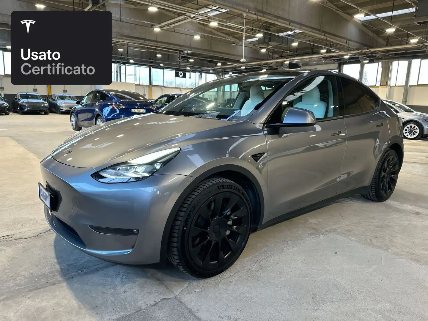 Tesla Model Y Long Range AWD Argento - 2