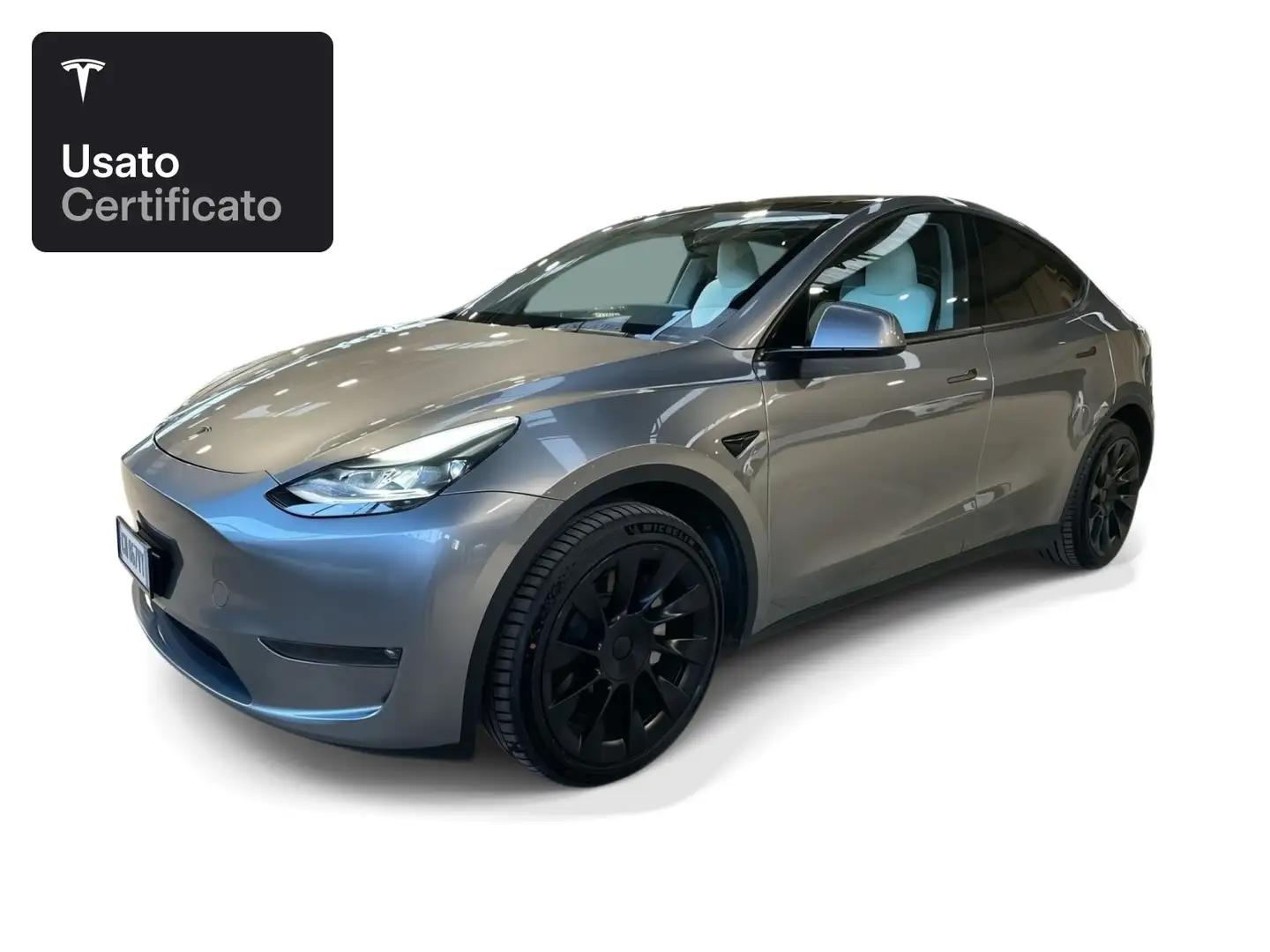 Tesla Model Y Long Range AWD Argento - 1