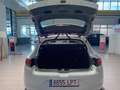 Renault Megane 1.5dCi Blue Intens 85kW Blanco - thumbnail 7