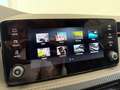 Skoda Kamiq Monte Carlo~CarPlay/HeckKl.elekt./Pano/LED Noir - thumbnail 18