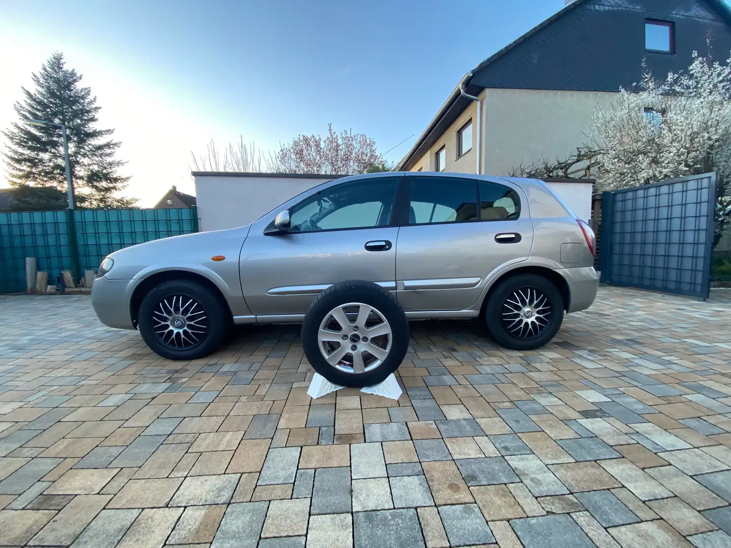 Nissan Almera Tino Almera Tino Aut. acenta Grigio - 1