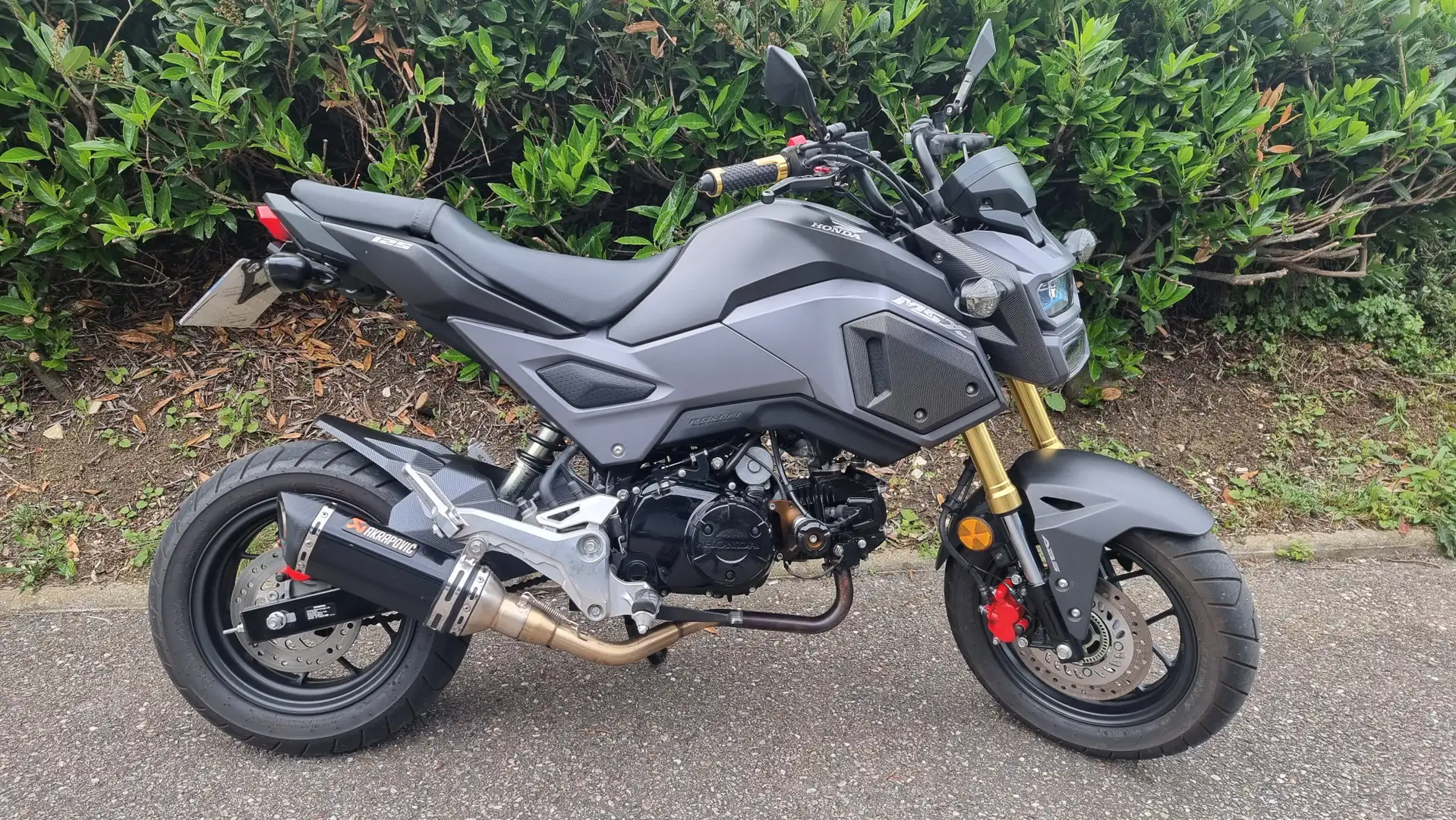 Honda MSX 125 Negro - 2