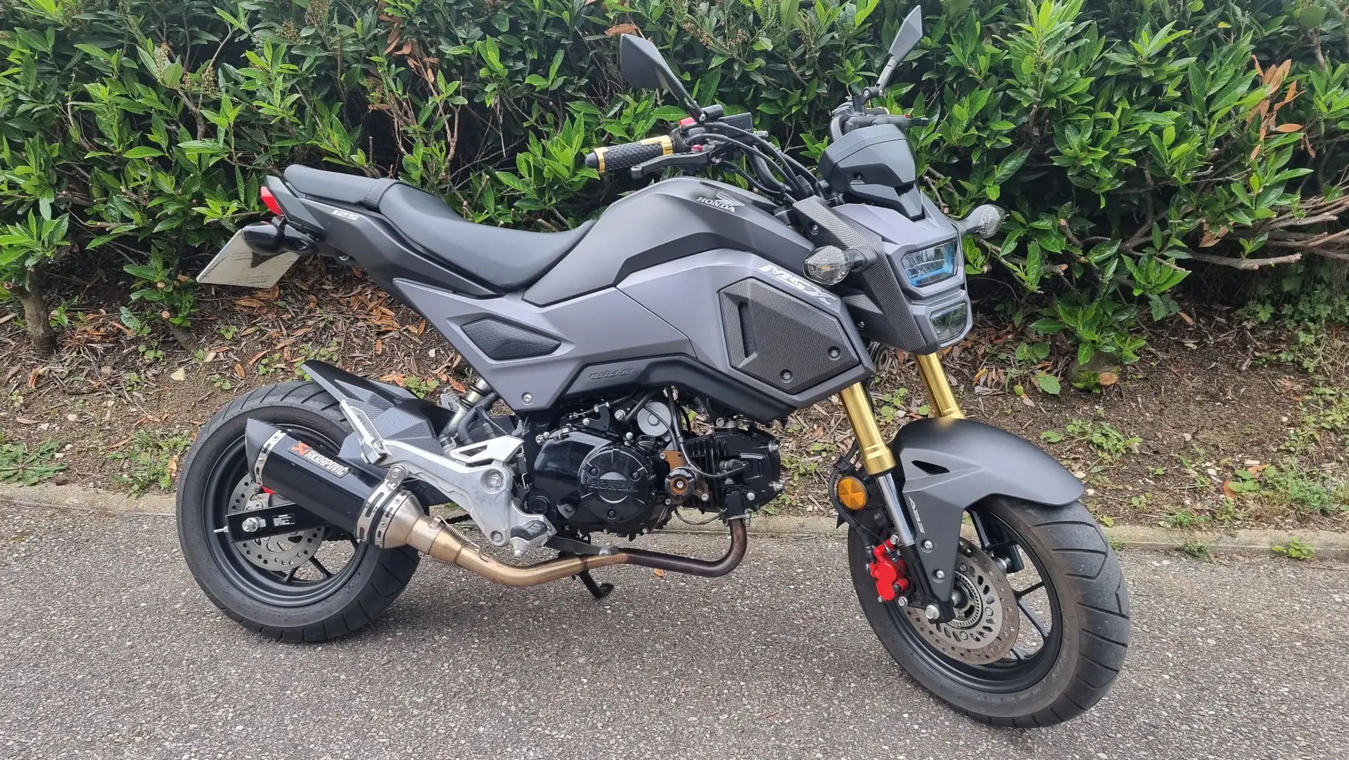 Honda MSX 125 Negro - 1