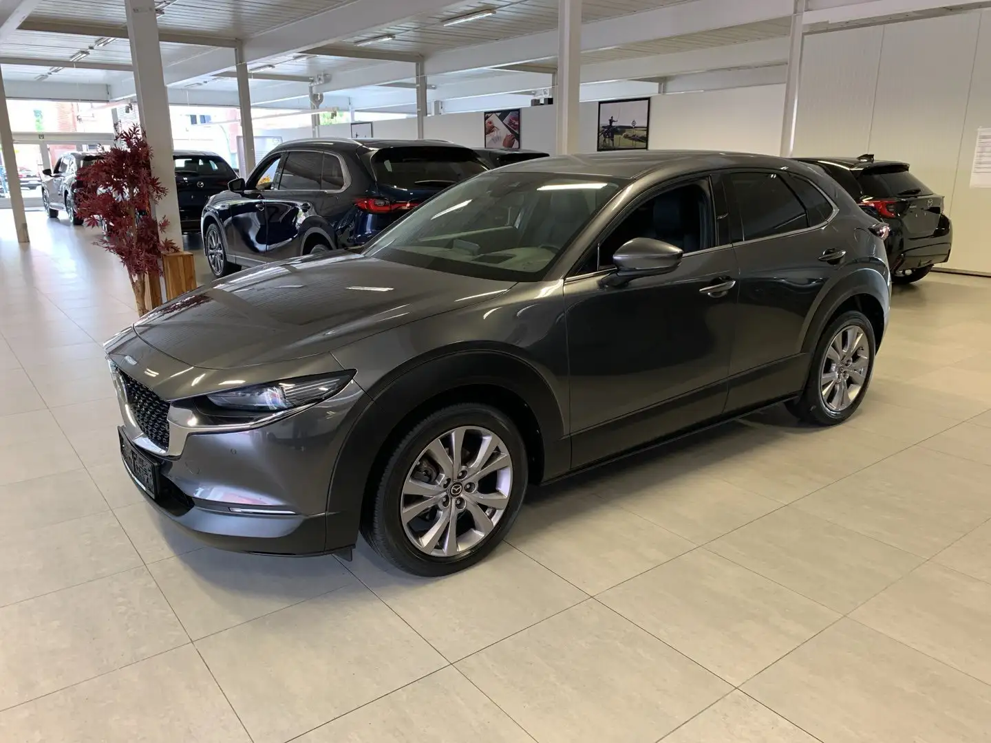 Mazda CX-30 SKYACTIV-G SkyCruise AUT Gris - 1