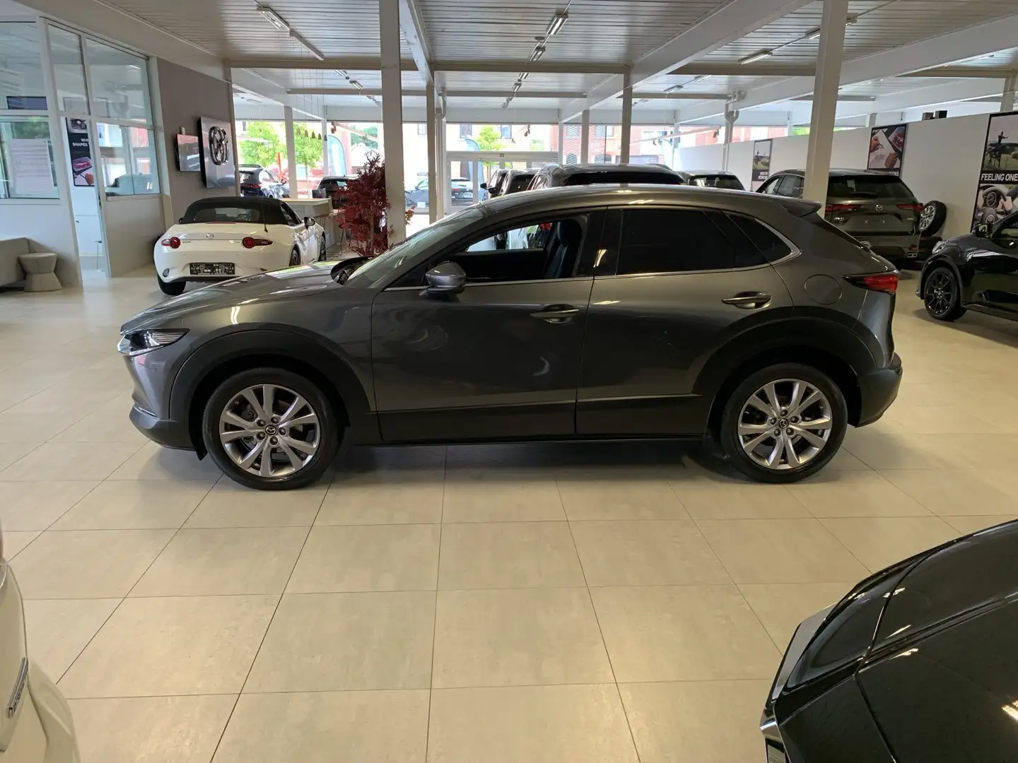 Mazda CX-30 SKYACTIV-G SkyCruise AUT Gris - 2