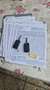 Citroen C8 HDi 160 FAP Exclusive - thumbnail 15
