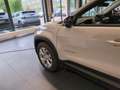 Jeep Avenger Altitude Elektromotor 54 kWh 115 kW (156PS) Digita Grau - thumbnail 17