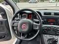 Fiat Panda Panda 1.2 Pop 69cv Bianco - thumbnail 9