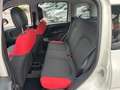 Fiat Panda Panda 1.2 Pop 69cv Bianco - thumbnail 4