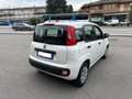 Fiat Panda Panda 1.2 Pop 69cv Bianco - thumbnail 3
