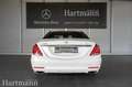 Mercedes-Benz S 500 S 500 4MATIC Panorama 2x Klima 4x Sitzklima 360 Weiß - thumbnail 4