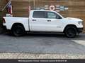 Dodge RAM Sport Night 5.7L 4x4 Tout compris hors homologation 4500e Blanc - thumbnail 8