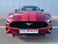 Ford Mustang 2.3 EcoBoost - Face lift 290 cv - Boite aut - Rouge - thumbnail 14