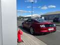 Ford Mustang 2.3 EcoBoost - Face lift 290 cv - Boite aut - Rood - thumbnail 29