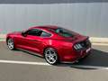 Ford Mustang 2.3 EcoBoost - Face lift 290 cv - Boite aut - Rood - thumbnail 12