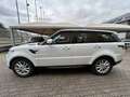 Land Rover Range Rover Sport 3.0 TDV6 PELLE TETTO APRIBILE E PANORAMICO IVA ESP Bianco - thumbnail 7