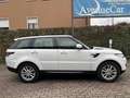 Land Rover Range Rover Sport 3.0 TDV6 PELLE TETTO APRIBILE E PANORAMICO IVA ESP Bianco - thumbnail 3