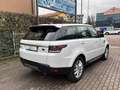 Land Rover Range Rover Sport 3.0 TDV6 PELLE TETTO APRIBILE E PANORAMICO IVA ESP Bianco - thumbnail 4