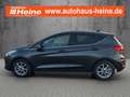 Ford Fiesta 1.0 EcoBoost S&S TITANIUM X Grau - thumbnail 2