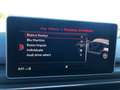 Audi A4 allroad 3.0 tdi Bus. 218cv s-tronic Tetto Matrix Virtual Argent - thumbnail 9