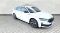 Skoda Octavia Combi 2.0 TSI DSG 4x4 Sportline AHK Kessy Weiß - thumbnail 16