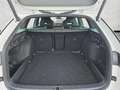 Skoda Octavia Combi 2.0 TSI DSG 4x4 Sportline AHK Kessy Weiß - thumbnail 15