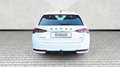Skoda Octavia Combi 2.0 TSI DSG 4x4 Sportline AHK Kessy Weiß - thumbnail 21