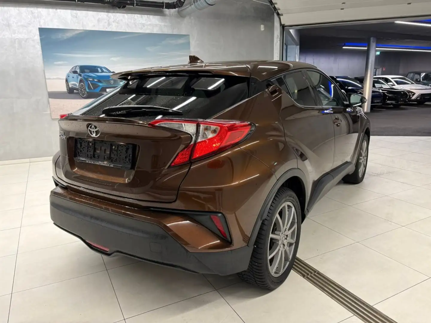 Toyota C-HR 1,2T C-LUB Braun - 2