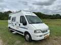 Fiat Ducato Adria Twin buscamper Blanco - thumbnail 6