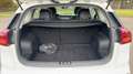 Kia e-Niro 39 kWh 136 Motion - Automatique Weiß - thumbnail 14